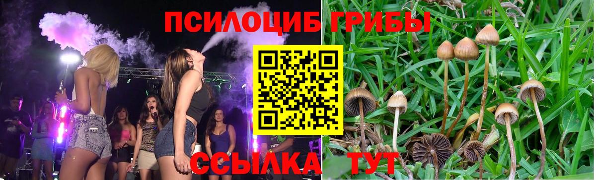 Псилоцибиновые грибы GOLDEN TEACHER  Псилоцибиновые грибы мицелий  Вход с VPN  Тында 